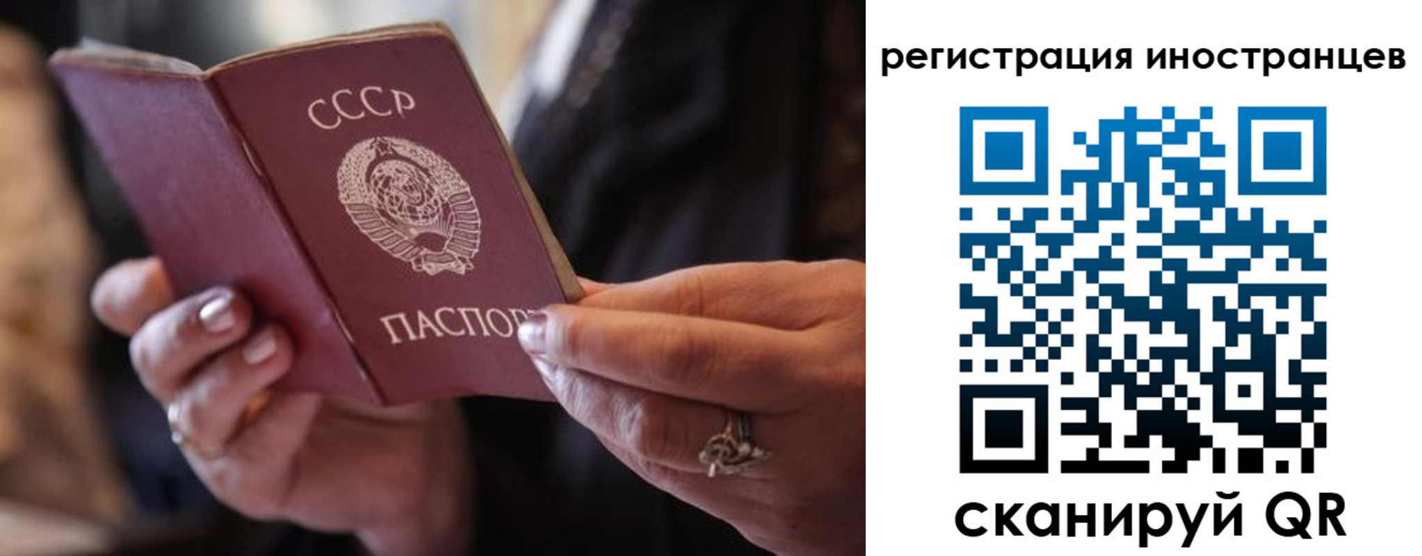 где прописаться в Поворино